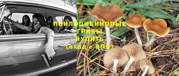 метадон Алзамай