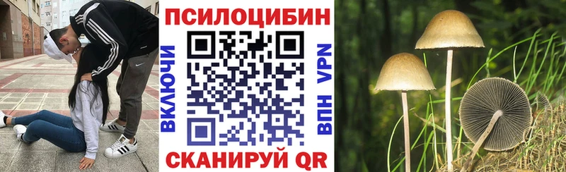 МЕГА ONION Палласовка Псилоцибиновые грибы Psilocybe закладка